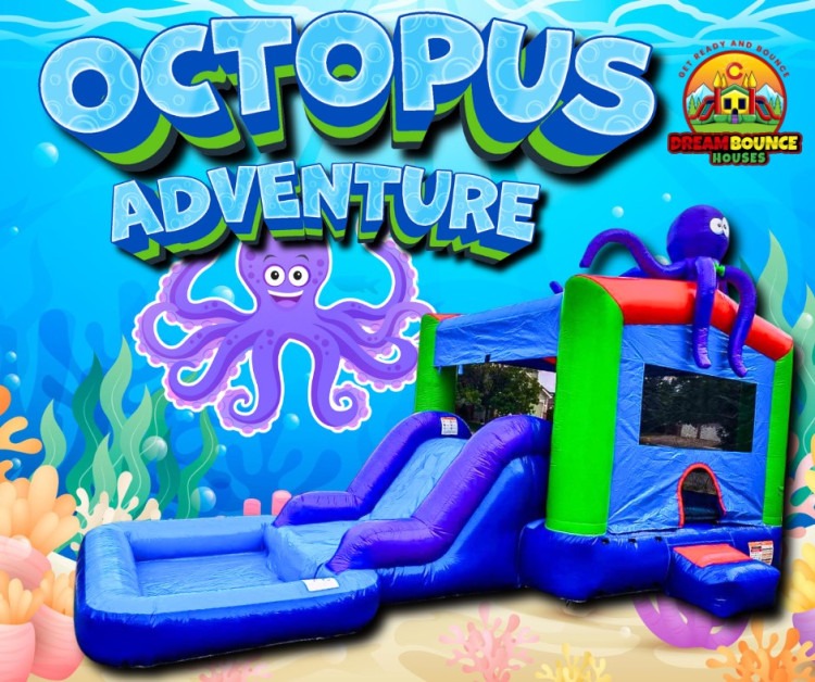 Octopus Adventure wet/dry
